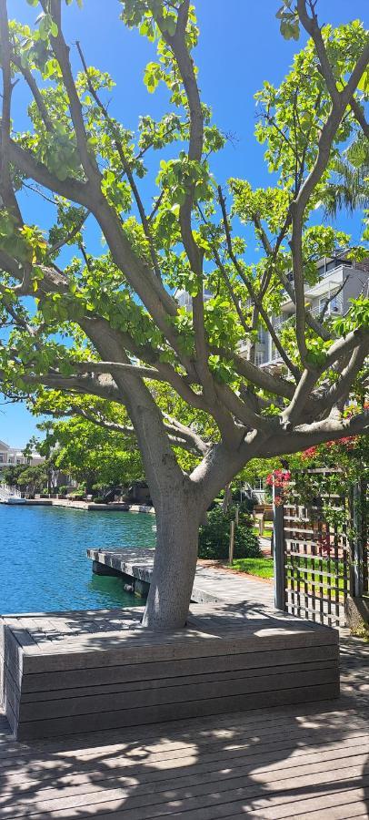 V&A Waterfront Marina Family Apartment 101 Altmore 开普敦 外观 照片